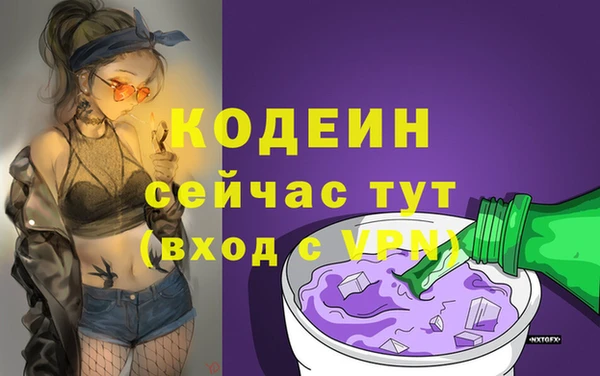 стафф Арсеньев