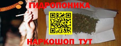 бошки Сланцы