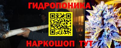 амф Славгород