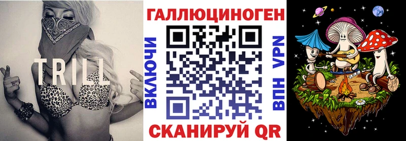 Галлюциногенные грибы GOLDEN TEACHER  цены   Строитель 