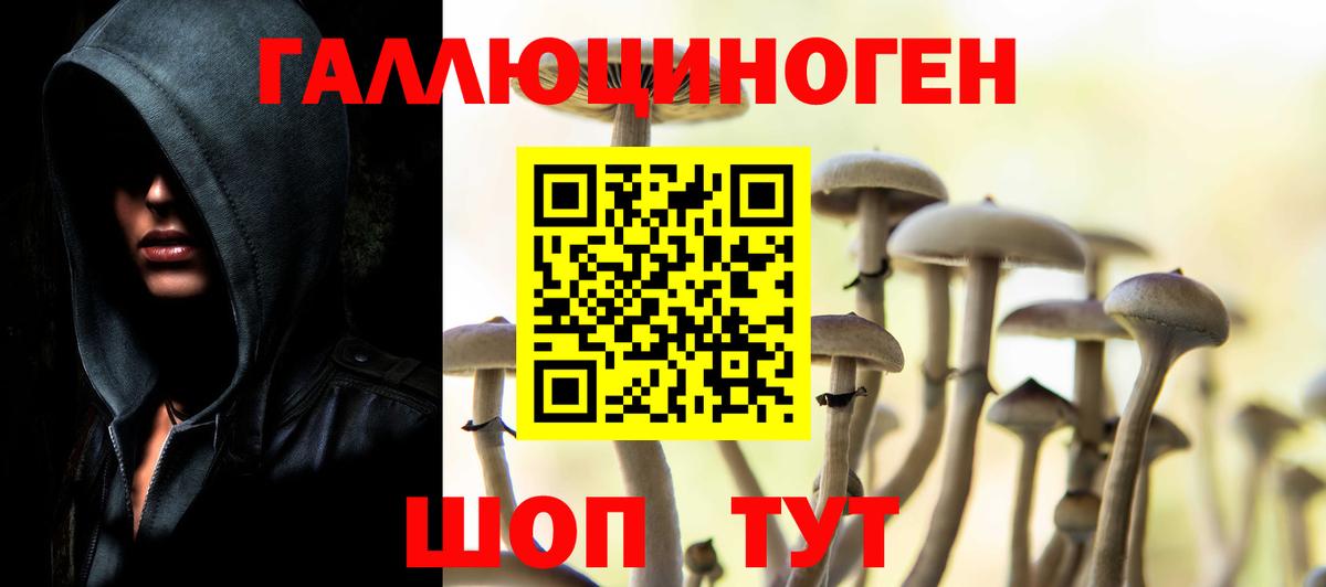 Псилоцибиновые грибы GOLDEN TEACHER  Вход с VPN  Строитель 